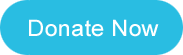 Donate Now Button